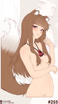 Rule 34 | 1girl, absurdres, animal ear fluff, animal ears, blunt bangs, blush, breasts, brown hair, collarbone, commentary, completely nude, english commentary, fang, hair over one eye, highres, holo, likunea, long hair, looking at viewer, navel, nude, parted lips, patreon logo, patreon username, pouch, pussy, red eyes, sidelocks, simple background, small breasts, solo, solo focus, spice and wolf, stomach, tail, twitter username, twitter x logo, wolf ears, wolf girl, wolf tail, zoom layer