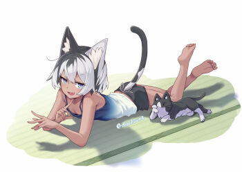 1girl animal_ear_fluff animal_ears bare_arms bare_legs bare_shoulders barefoot black_hair black_shorts blue_eyes blue_tank_top cat cat_ears cat_tail commentary dark-skinned_female dark_skin fang faux_figurine feet full_body hibi_tsuna looking_at_viewer lying multicolored_hair on_floor on_stomach open_mouth original raised_eyebrow short_hair short_shorts shorts smile smirk soles solo split-color_hair tail tank_top tatami twitter_username v-shaped_eyebrows white_hair