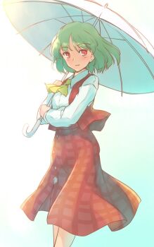 1girl aqua_background ascot buttons collared_shirt commentary_request feet_out_of_frame green_hair holding holding_umbrella kazami_yuuka light_blush long_sleeves medium_hair parted_lips rangycrow red_eyes red_skirt red_vest shirt sideways_glance skirt solo touhou umbrella vest white_shirt yellow_ascot