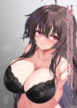 Rule 34 | 1girl, ahoge, angry, arm behind back, bare arms, bare shoulders, black bra, blush, bra, breasts, brown hair, cleavage, closed mouth, collarbone, commentary request, grey background, hair between eyes, highres, iris yuma, large breasts, long hair, maze yuri, navel, red eyes, simple background, smile, solo, soulworker, underwear, upper body