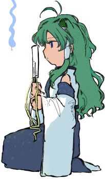 Rule 34 | 1girl, dade ne, detached sleeves, frog hair ornament, from side, green eyes, green hair, hair ornament, highres, kneeling, kochiya sanae, long hair, looking to the side, sleeveless, solo, touhou, white background, wide sleeves