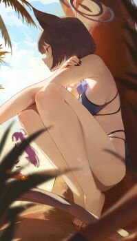 2girls animal_ears barefoot bikini black_hair black_halo blue_archive blue_bikini blue_sky breasts cat_ears cloud commentary_request day flower halo highres kikyou_(blue_archive) kikyou_(swimsuit)_(blue_archive) kji_(rozo) legs medium_breasts multiple_girls nail_polish official_alternate_costume outdoors palm_tree purple_flower short_hair side-tie_bikini_bottom sitting sky solo_focus summer swimsuit thighs toenail_polish toenails toes tree yukari_(blue_archive) yukari_(swimsuit)_(blue_archive)