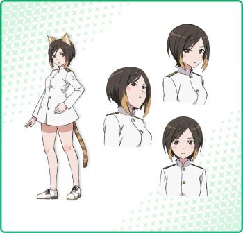 1girl :o animal_ears artist_request brown_eyes brown_hair character_request full_body jacket looking_at_viewer military_uniform multiple_views official_art open_mouth shoes short_hair simple_background solo standing tail tiger_ears tiger_girl tiger_tail white_background white_jacket white_shoes world_witches_series