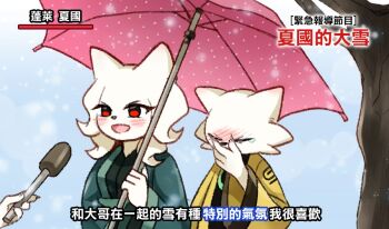 &gt;_&lt; 1boy 1girl :d blush chinese_text covering_face embarrassed furry heng_(nine_sols) meme microphone nine_sols on_television open_mouth pink_umbrella shared_umbrella smile snowing special_feeling_(meme) traditional_chinese_text translated umbrella yi_(nine_sols) yi_xuan_(syuanishen)