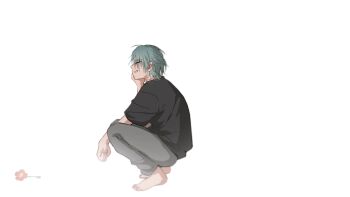 Rule 34 | 1boy, alien stage, barefoot, black shirt, closed eyes, commentary request, flower, grey hair, grey pants, half updo, highres, male focus, naa kamui, pants, red flower, shirt, short hair, simple background, smile, solo, squatting, thumbnail collage, till (alien stage), white background