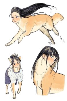 1girl :/ animal_ears black_eyes black_hair blue_shorts brown_eyes brown_fur claws closed_mouth dog_ears dog_girl dog_tail full_body gym_uniform hair_bun highres human_head li_sakura long_hair looking_at_viewer looking_to_the_side multiple_views open_mouth original running shirt short_sleeves shorts simple_background smile standing tail walking what white_background white_shirt