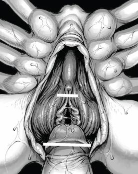 1boy 1girl alien alien_(series) censored creepy cum double_deck facehugger hetero monster original penis pussy pussy_flaps sweat vaginal