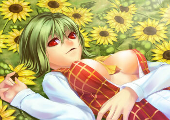1girl areola_slip between_breasts breast_clinging breasts breasts_apart bz_(pixiv) cleavage covered_erect_nipples female_focus fingernails flower green_hair kazami_yuuka kokonoe_shuu large_breasts light_smile long_fingernails lying nail_(hardware) no_bra on_back open_clothes open_shirt plaid_clothes plaid_vest red_eyes ribbon shirt short_hair slit_pupils smile solo sunflower touhou underboob vest