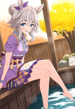 1girl animal_ears ashiyu blue_eyes blush bow breasts ear_bow ear_flower ear_ornament foot_bath gamyuu_(gamyu) grey_hair hair_between_eyes hair_bun highres horse_ears horse_girl horse_tail japanese_clothes kimono long_hair looking_at_viewer multicolored_hair onsen open_mouth outdoors purple_bow purple_kimono sash sitting smile solo streaked_hair tail tree umamusume water wonder_acute_(soft_light_-_hot_spring_scented_outfit)_(umamusume) wonder_acute_(umamusume)