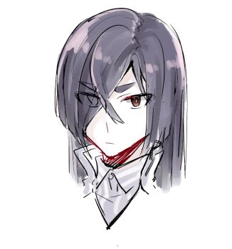 Rule 34 | 1girl, black hair, closed mouth, collared shirt, commentary request, cropped shoulders, expressionless, eyes visible through hair, grey shirt, hair between eyes, hair over one eye, jouhou, long hair, looking at viewer, origami yukari, red eyes, shirt, simple background, solo, thick eyebrows, toji no miko, v-shaped eyebrows, white background