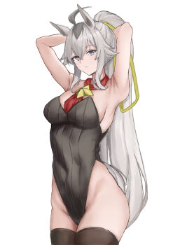 Rule 34 | 1girl, absurdres, adjusting hair, ahoge, animal ears, armpits, arms up, black leotard, black thighhighs, blue eyes, breasts, closed mouth, commentary request, covered navel, grey hair, grey tail, hair between eyes, highleg, highleg leotard, highres, horse ears, horse girl, horse tail, large breasts, leotard, long hair, looking at viewer, multicolored hair, oguri cap (cinderella gray) (umamusume), oguri cap (umamusume), ponytail, simple background, solo, strapless, strapless leotard, streaked hair, tail, thighhighs, thighs, umamusume, umamusume: cinderella gray, white background, yun menwu