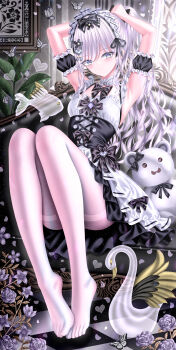 Rule 34 | 1girl, absurdres, armpits, arms up, bird, black bow, black bowtie, black corset, black sleeves, blue eyes, blush, bow, bowtie, breasts, bug, butterfly, chair, checkered floor, closed mouth, commentary, corset, cross-laced clothes, cross-laced corset, detached collar, detached sleeves, eyelashes, feet, fish, flower, flying fish, frilled shirt, frilled sleeves, frills, full body, hair flower, hair ornament, heart, heart hair ornament, highres, indoors, insect, knees up, long hair, long legs, maid, maid headdress, medium breasts, no shoes, original, pantyhose, picture frame, plant, purple flower, shirt, sleeveless, sleeveless shirt, smile, solo, stuffed animal, stuffed toy, swan, symbol-only commentary, teddy bear, thighband pantyhose, tile floor, tiles, tina (tinafya), tying hair, very long hair, wavy hair, white butterfly, white hair, white pantyhose, white shirt