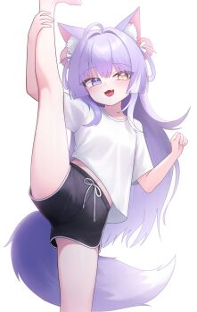 1girl :d animal_ears black_shorts blue_eyes dolphin_shorts fang fox_ears fox_girl fox_tail heterochromia highres holding_own_leg leeleo_25 long_hair open_mouth purple_hair shirt shorts simple_background smile split standing standing_on_one_leg standing_split stellive tail tenko_shibuki very_long_hair virtual_youtuber white_background white_shirt yellow_eyes