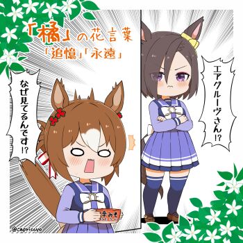 2girls ^^^ air_groove_(umamusume) animal_ears blush bow brown_hair brown_shoes capriccyo closed_mouth commentary_request crossed_arms emphasis_lines eyes_visible_through_hair fine_motion_(umamusume) flower hair_over_one_eye highres holding horse_ears horse_girl horse_tail long_sleeves multicolored_hair multiple_girls open_mouth pleated_skirt puffy_long_sleeves puffy_sleeves purple_eyes purple_shirt purple_skirt purple_thighhighs school_uniform shirt shoes skirt standing stiff_tail surprised tail thighhighs tracen_school_uniform translation_request two-tone_hair umamusume wavy_mouth white_bow white_flower white_hair wide_oval_eyes