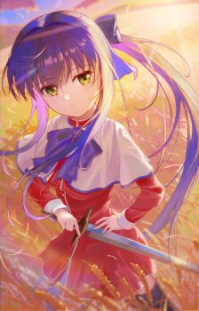 Rule 34 | 1girl, absurdres, backlighting, black bow, black thighhighs, blue bow, blue bowtie, blue hair, bow, bowtie, capelet, commentary request, day, dress, expressionless, eyelashes, eyes visible through hair, film grain, flowingcrescent, green eyes, hair between eyes, hair bow, hair intakes, hand on own hip, highres, holding, holding sword, holding weapon, kanon, kanon school uniform, kawasumi mai, long hair, long sleeves, looking at viewer, outdoors, ponytail, red dress, school uniform, solo, sunlight, sword, thighhighs, very long hair, weapon, wheat, wheat field, white capelet