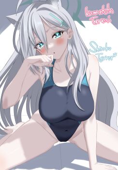 animal_ear_fluff animal_ears artist_name black_one-piece_swimsuit blue_archive blue_eyes breasts character_name commentary_request competition_swimsuit cosplay covered_navel cross_hair_ornament extra_ears grey_hair hair_ornament halo highres kamishita_tomori large_breasts low_ponytail medium_breasts medium_hair mismatched_pupils multicolored_swimsuit official_alternate_costume one-piece_swimsuit ponytail shiroko_(blue_archive) shiroko_(blue_archive)_(cosplay) shiroko_(swimsuit)_(blue_archive) shiroko_terror_(blue_archive) sitting swimsuit wolf_ears