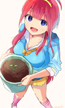 Rule 34 | 1girl, absurdres, blue cardigan, blue eyes, bow, breasts, bright pupils, cardigan, cleavage, collared shirt, from above, hairband, highres, holding, large breasts, long hair, looking at viewer, open mouth, pink socks, plant, pleated skirt, potted plant, red hair, school uniform, shirt, simple background, skirt, smile, socks, solo, standing, striped clothes, striped socks, vegetable garden of twins, white background, white pupils, white shirt, yellow bow, yellow hairband, yellow skirt, yumeno tanuki