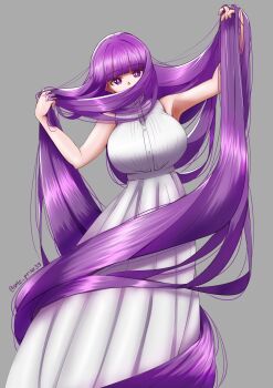 1girl absurdly_long_hair absurdres alternate_hair_length alternate_hairstyle blunt_bangs breasts buttons commentary dress english_commentary ente_prise fern_(sousou_no_frieren) grey_background hair_over_mouth hands_in_own_hair highres large_breasts long_dress long_hair purple_eyes purple_hair sleeveless sleeveless_dress solo sousou_no_frieren straight_hair very_long_hair white_dress