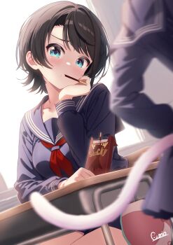 2girls absurdres alternate_hairstyle aqua_eyes baseball_cap black_hair blue_sailor_collar blue_serafuku blue_shirt blue_skirt blurry blurry_background blurry_foreground blush braid breasts cat_tail chair commentary_request curio_(curiofinity) depth_of_field desk food food_in_mouth food_on_face hat head_rest highres hololive large_breasts looking_at_viewer miniskirt multiple_girls nekomata_okayu oozora_subaru pleated_skirt pocky pocky_day pocky_in_mouth sailor_collar school_chair school_desk school_uniform serafuku shirt short_hair side_braid sitting skirt solo_focus swept_bangs tail unworn_hat unworn_headwear virtual_youtuber