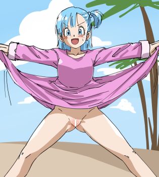 1girl absurdres bar_censor beach blue_eyes blue_hair blush bottomless breasts bulma censored clothes_lift cloud collarbone dragon_ball dragon_ball_(classic) hair_bobbles hair_ornament highres long_sleeves looking_at_viewer medium_breasts no_panties open_mouth oversized_clothes oversized_shirt palm_tree pink_shirt ponytail pussy rpca scene_reference shirt shirt_lift short_hair side_ponytail sky smile standing sweat tree