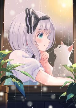 1girl absurdres black_hairband blush cat closed_mouth collared_shirt commentary_request green_eyes grey_hair hairband highres konpaku_youmu plant potted_plant puffy_short_sleeves puffy_sleeves rain reimei_(r758120518) shirt short_sleeves smile solo touhou water_drop white_cat white_shirt window