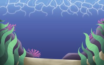 absurdres commentary coral english_commentary highres katsumuri nintendo no_humans pokemon scenery seaweed underwater