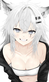 1girl absurdres animal_ear_fluff animal_ears arknights artist_name bare_shoulders black_jacket breasts cleavage clothes_pull collarbone commentary crop_top dated_commentary english_commentary grey_eyes hair_ornament hairclip highres invisibless jacket jacket_pull lappland_(arknights) leaning_forward long_hair looking_at_viewer medium_breasts navel open_clothes open_jacket open_mouth parted_lips scar scar_across_eye scar_on_face shirt sidelocks smile solo teeth upper_body white_background white_hair white_shirt wolf_ears