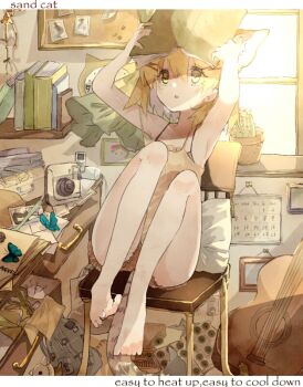 1girl animal_ear_fluff animal_ears armpits barefoot blonde_hair blue_butterfly book bookshelf brown_shorts bug butterfly cactus calendar_(object) camera cat_ears cat_girl cat_tail chair character_name commentary_request dutch_angle english_text full_body holding holding_book indoors insect kemono_friends messy_room mp3_player open_book reading sand_cat_(kemono_friends) shinjitsu_no_kuchi short_hair shorts sitting solo table tail tank_top yellow_tank_top