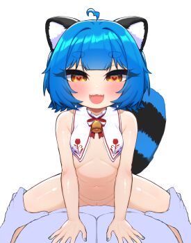 1boy 1girl absurdres ahoge animal_ears blue_hair breasts chromashift fangs heart hetero highres loli looking_at_viewer navel open_mouth poko_rakun raccoon_ears raccoon_tail ryoshi small_breasts tail variant_set virtual_youtuber white_background