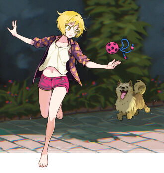 1girl absurdres animal bare_legs barefoot blonde_hair bra_strap colored_eyelashes commentary crop_top crossed_bangs day dog english_commentary eudetenis floral_print_shirt full_body hands_up highres midriff navel open_clothes open_mouth open_shirt original outdoors outside_border outstretched_arms pet purple_shirt red_shorts shirt short_hair short_shorts shorts slice_of_life solo spread_arms tank_top three-quarter_sleeves toy yellow_eyes yellow_tank_top