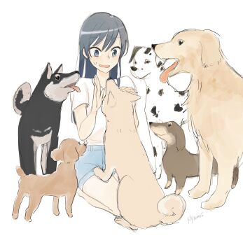1girl bare_legs black_eyes black_hair blue_shorts commentary_request dachshund dalmatian denim denim_shorts dog full_body golden_retriever highres long_hair nanami_touko nyamo open_mouth seiza shirt short_sleeves shorts simple_background sitting solo sweatdrop white_background white_shirt yagate_kimi_ni_naru