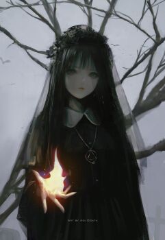 1girl animal aoi_ogata artist_name bare_tree bird black_dress black_hair clip_studio_paint_(medium) closed_mouth collared_dress commentary dress english_commentary fire grey_eyes grey_sky highres long_hair looking_at_viewer original outdoors pleated_dress pyrokinesis sky solo tree veil very_long_hair