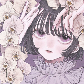 1girl absurdres black_hair commentary_request flower highres looking_at_viewer momo_walnut nail_polish original parted_lips portrait purple_background purple_eyes purple_nails shirt short_hair solo white_flower white_shirt