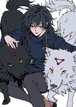 1girl aegyo_sal animal animal_ears arm_rest black_hair black_pantyhose brown_footwear buttons closed_mouth colored_sclera commentary cropped_legs eyelashes fushiguro_megumi genderswap genderswap_(mtf) grey_eyes hair_between_eyes hairstyle_request high_collar highres jujutsu_kaisen jujutsu_tech_uniform long_bangs long_hair looking_at_viewer mesuki_peropero on_ground pantyhose sidelocks sitting solo_focus symbol-only_commentary tail wispy_bangs wolf wolf_ears wolf_tail yellow_sclera