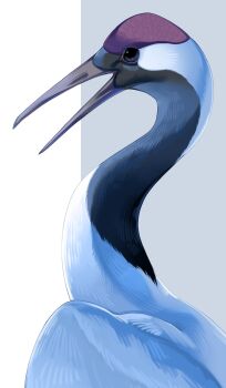 animal_focus beak bird crane_(animal) feathers highres iwasi_29 no_humans open_mouth original red-crowned_crane simple_background white_feathers wings