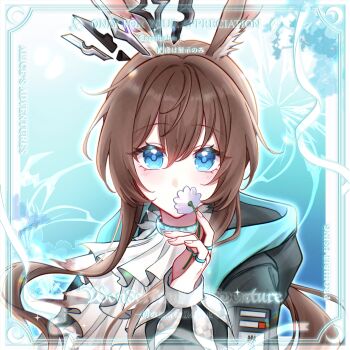 Rule 34 | 1girl, absurdres, amiya (arknights), amiya (medic) (arknights), animal ears, arknights, artist request, ascot, black coat, blue eyes, brown hair, chinese commentary, coat, commentary request, commission, crown, highres, long hair, looking at viewer, rabbit ears, rabbit girl, solo, upper body, very long hair, watermark, white ascot