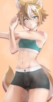 1boy absurdres animal_ears aqua_eyes aqua_nails aqua_sports_bra black_shorts blush brown_hair bulge crop_top dog_boy dog_ears dog_tail genshin_impact gorou_(genshin_impact) hair_between_eyes hashtag-only_commentary highres male_focus marky_evan midriff multicolored_hair multicolored_tail navel open_mouth shorts solo sports_bra stomach streaked_hair tail trap white_hair