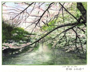 baden_hiroshi border cherry_blossoms colored_pencil_(medium) commentary_request dated day highres no_humans original outdoors scenery spring_(season) traditional_media translation_request tree white_border