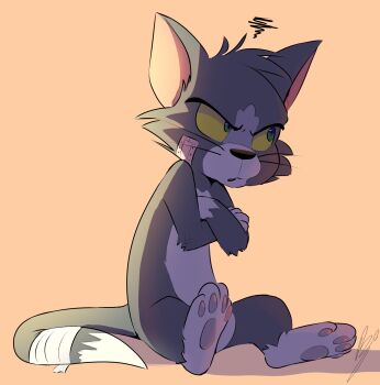 1boy animal_ears animal_feet bandage_on_cheek bandage_on_face bandaged_tail bandages cat_boy cat_ears cat_tail colored_sclera commentary crossed_arms english_commentary full_body furry furry_male green_eyes grey_fur highres male_focus orange_background pawpads simple_background sitting solo tail tom_(tom_and_jerry) tom_and_jerry whiskers wolfaroon yellow_sclera