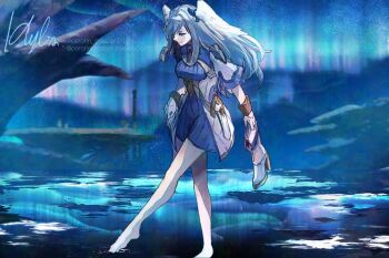 1girl artist_name aurora barefoot blue_eyes blue_sky bluesky_username blurry blurry_background commentary_request grey_hair head_wings highres holding holding_shoes holding_unworn_clothes in-universe_location long_hair melia_antiqua night night_sky perorin_shaaaan shoes signature sky solo twitter_username unworn_shoes wings xenoblade_chronicles:_future_connected xenoblade_chronicles_(series) xenoblade_chronicles_1