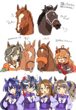 Rule 34 | 6+girls, ahoge, animal ears, beret, black hair, black jacket, blue eyes, blue hair, blush, bow, bowtie, breasts, brown hair, closed mouth, commentary request, creature and personification, deep bond (racehorse), ear bow, ear covers, ear ribbon, green bow, hair between eyes, hair ornament, hat, highres, horse, horse ears, horse girl, jacket, katsuragi ace (umamusume), king halo (umamusume), long hair, long sleeves, looking at viewer, mole, mole under eye, multicolored hair, multiple girls, ojou-sama pose, one eye closed, open mouth, orange hair, orange jacket, personification, ponytail, purple sailor collar, purple serafuku, purple shirt, purple skirt, real life, red bow, red eyes, red sash, ribbon, royal family (the royal family), royal hope (the royal family), sailor collar, sailor shirt, sash, school uniform, serafuku, shin emperor (racehorse), shirt, side ponytail, skirt, smile, streaked hair, sumikawa (sumikawa8v), tassel, tassel hair ornament, the royal family (tv series), tosen jordan (umamusume), tracen school uniform, twintails, umamusume, verxina (umamusume), white bow, white bowtie, white hair, white shirt, white streaks
