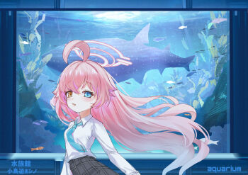 1girl ahoge animal aquarium blue_archive blue_eyes blue_necktie bobo_(6630978) breasts brown_eyes commentary_request fish fish_request grey_skirt hair_between_eyes halo heterochromia highres hoshino_(blue_archive) long_hair long_sleeves looking_at_viewer necktie pink_hair plaid_clothes plaid_skirt skirt small_breasts solo translation_request very_long_hair water