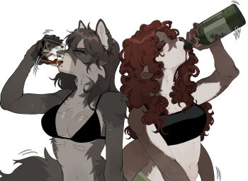 2girls alcohol animal_ear_piercing black_bra black_hair blush bottle bra breasts claws cleavage closed_eyes commentary cup curly_hair drinking_glass english_commentary face_piercing furry furry_female highres lip_piercing long_hair medium_breasts multiple_girls open_mouth original piercing raccoattack red_hair red_wine rocks_glass simple_background tail underwear whiskey white_background wine wine_bottle