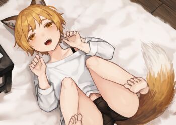 1boy androgynous animal_ears ass bare_legs barefoot black_shorts blush bulge collarbone commentary_request dot_nose dutch_angle fox_boy fox_boy_(sunaba_(nczd5875)) fox_ears fox_tail full_body knees_to_chest long_sleeves looking_at_viewer lying male_focus midriff_peek on_back open_mouth orange_eyes orange_hair orange_tail original partial_commentary paw_pose shirt short_hair shorts shota smile solo sunaba_(nczd5875) tail teeth thighs tongue upper_teeth_only white_shirt wooden_floor