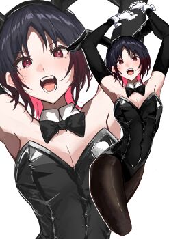Rule 34 | 1girl, absurdres, animal ears, arm warmers, armpits, bare shoulders, black arm warmers, black bow, black bowtie, black hair, black leotard, blush, bow, bowtie, breasts, cleavage, fake animal ears, fake tail, gloves, gradient hair, highres, kisaragi ren (vspo!), leotard, looking at viewer, maya fa, medium breasts, multicolored hair, open mouth, pantyhose, parted bangs, playboy bunny, rabbit ears, red eyes, red hair, simple background, small sweatdrop, solo, tail, virtual youtuber, vspo!, white background, white gloves, zoom layer
