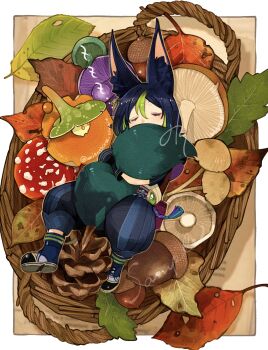 1boy absurdres acorn animal_ear_fluff animal_ears artist_name asymmetrical_sleeves basket black_hair black_pants blue_boots blush boots border closed_eyes commentary_request earrings fly_agaric fox_boy fox_ears fox_tail fungi_(genshin_impact) genshin_impact green_hair hair_between_eyes highres hugging_own_tail hugging_tail in_basket in_container jewelry leaf long_sleeves lying male_focus misoshiru_umai4 multicolored_hair mushroom on_back outside_border pants pinecone purple_sash rope sample_watermark sash short_hair short_sleeves single_earring sleeping solo streaked_hair tail tassel tighnari_(genshin_impact) twitter_username uneven_sleeves vision_(genshin_impact) watermark white_border zzz