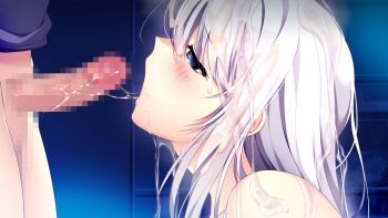 1boy 1girl after_fellatio blue_eyes blush censored cum cum_on_body cum_on_hair cum_string cumdrip facial game_cg hair_between_eyes hetero indoors long_hair mosaic_censoring muchimuchi_dakara_mukumuku_shita_~osananajimi_to_no_sugoshikata~ open_mouth penis profile shirai_karen straight_hair white_hair yoppy