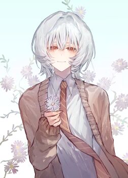 1boy absurdres aegyo_sal brown_cardigan cardigan collared_shirt dress_shirt expression_request fleabane flower highres holding holding_flower looking_at_viewer red_eyes saihate_eki shirt solo tatsunami_shion upper_body white_flower white_hair white_shirt zimu_(xhs_42919373813)