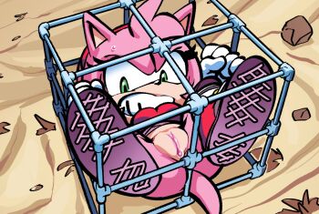 1girl amy_rose animal_ears animal_nose boots cage dress furry furry_female gloves green_eyes hairband hedgehog_girl pink_fur pink_hair pussy pussy_juice red_dress red_hairband rockthebull sonic_(series) sonic_boom_(series) tail trapped western_comics_(style) white_gloves