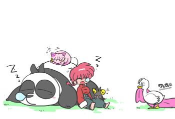 2girls 3boys animal bird braid cat chinese_clothes duck father_and_daughter genderswap genderswap_(mtf) hibiki_ryouga mousse_(ranma_1/2) multiple_boys multiple_girls p-chan panda pig ranma-chan ranma_1/2 saotome_genma saotome_ranma shampoo_(ranma_1/2) single_braid sleeping tangzhuang wanta_(futoshi) zzz